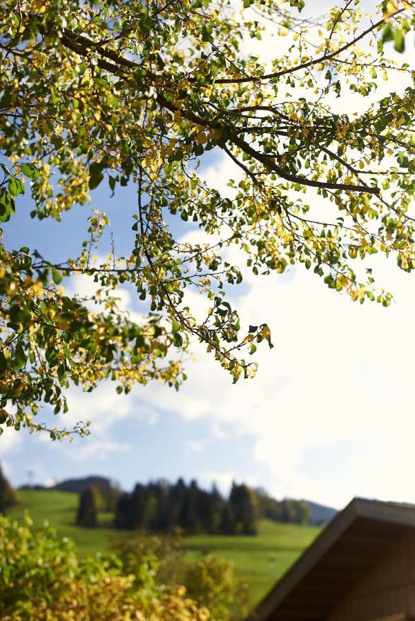 Apartamento Beim Rohrer Kirchberg in Tirol Exterior foto